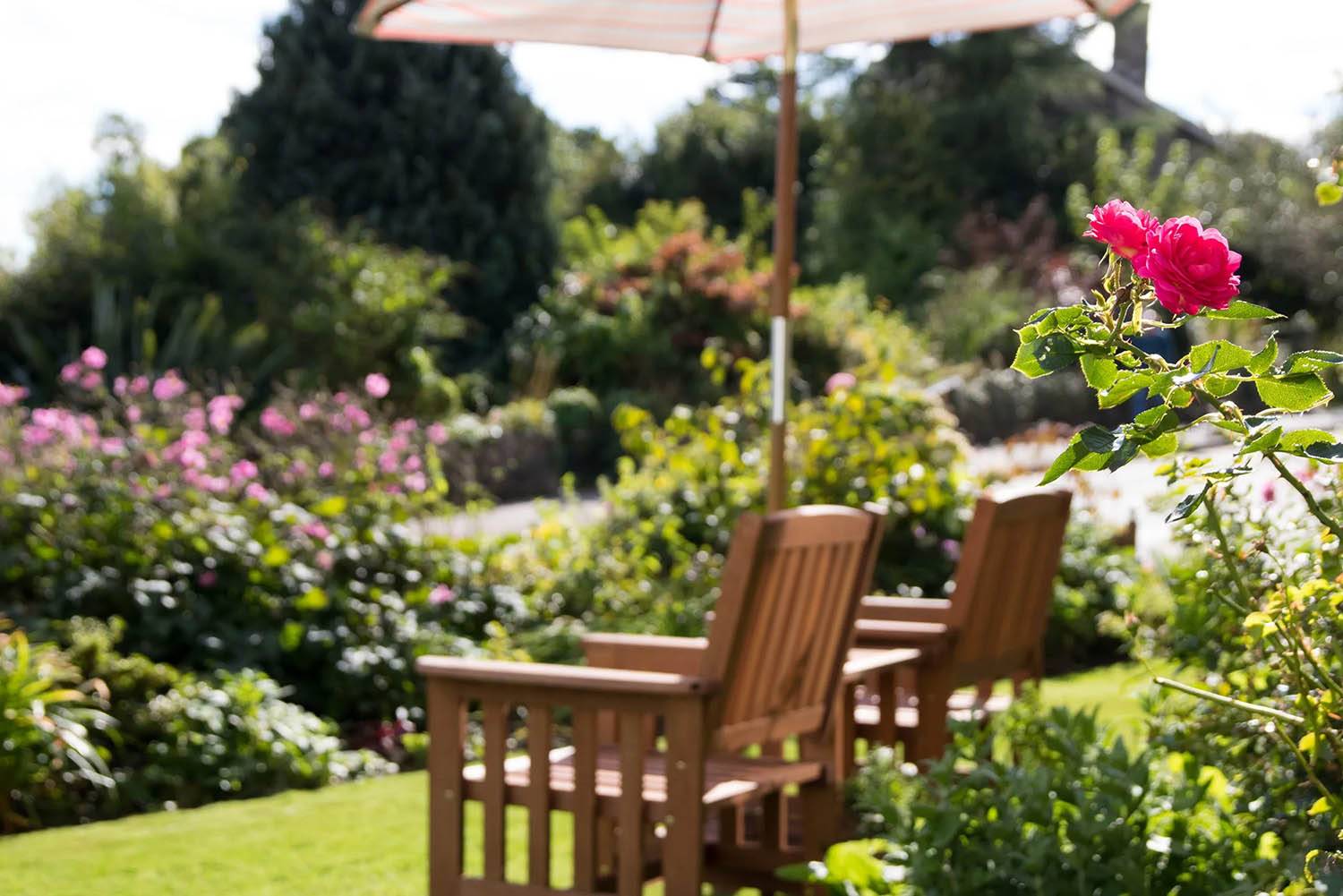 The garden at Thornleigh Christian Hotel
